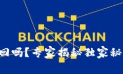 tpwallet被盗后能找回吗？专家揭秘独家秘诀，让你