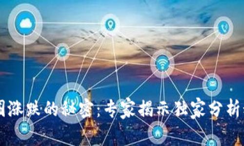 币圈涨跌的秘密：专家揭示独家分析秘诀