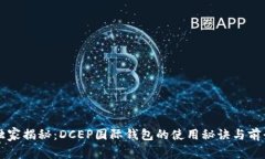 专家独家揭秘：DCEP国际钱包的使用秘诀与前景分