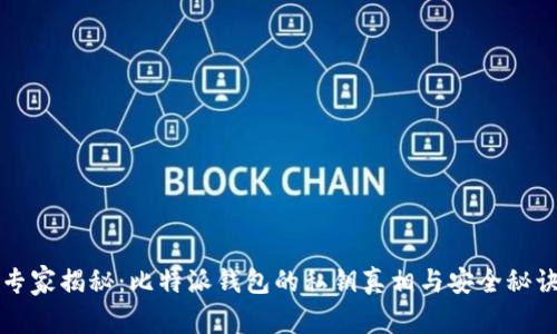 专家揭秘：比特派钱包的私钥真相与安全秘诀