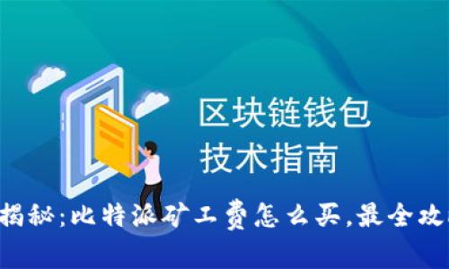 专家独家揭秘：比特派矿工费怎么买，最全攻略在这里！