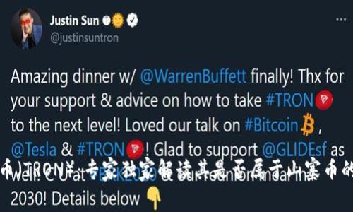 波场币（TRON）：专家独家解读其是否属于山寨币的秘诀