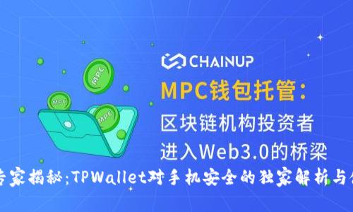### 专家揭秘：TPWallet对手机安全的独家解析与使用秘诀