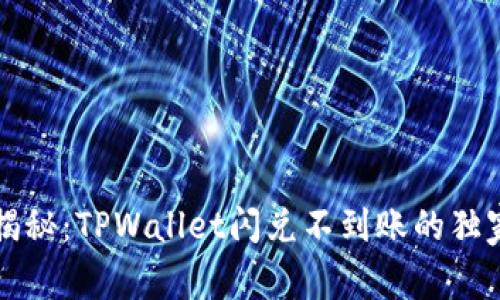 专家揭秘：TPWallet闪兑不到账的独家秘诀