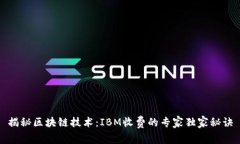 揭秘区块链技术：IBM收费的专家独家秘诀