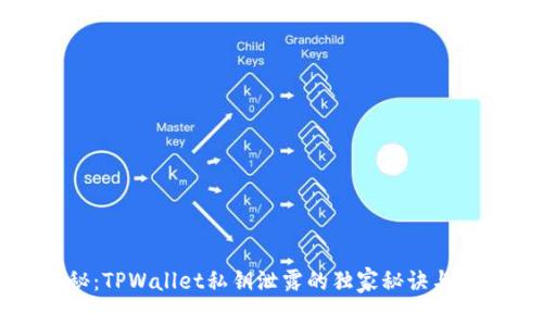 专家揭秘：TPWallet私钥泄露的独家秘诀与防范措施