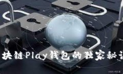 专家揭秘：区块链Play钱包的独家秘诀与使用指南