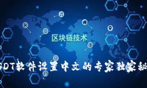 USDT软件设置中文的专家独家秘诀