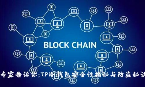 专家告诉你：TP冷钱包安全性揭秘与防盗秘诀