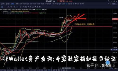 TPWallet资产查询：专家独家揭秘操作秘诀