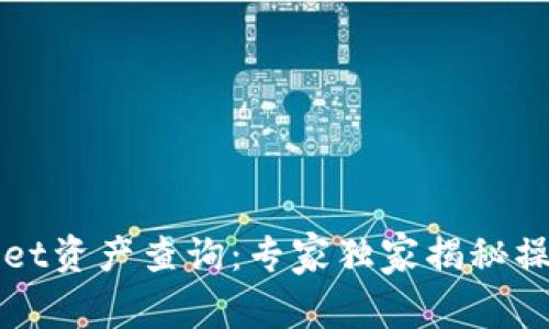 TPWallet资产查询：专家独家揭秘操作秘诀