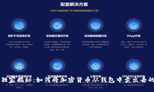 专家独家揭秘：如何将加密货币从钱包中卖出去的秘诀