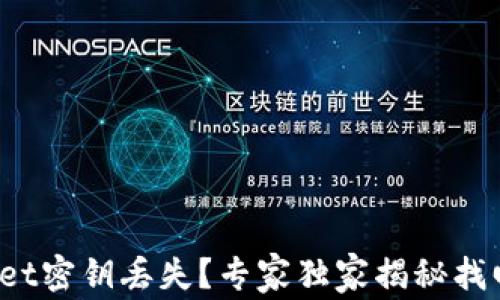 
tpwallet密钥丢失？专家独家揭秘找回秘诀！