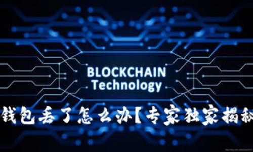 区块链冷钱包丢了怎么办？专家独家揭秘补救秘诀