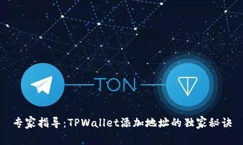 专家指导：TPWallet添加地址的独家秘诀