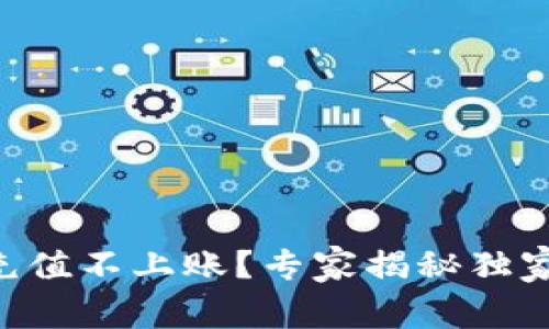 TPWallet充值不上账？专家揭秘独家解决秘诀！