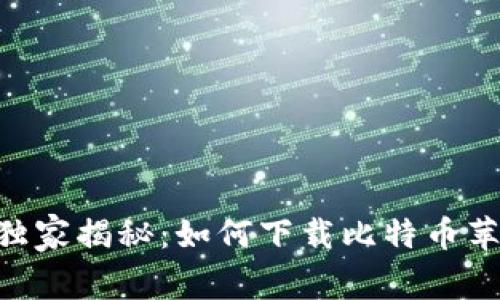 2023年专家独家揭秘：如何下载比特币苹果APP的秘诀