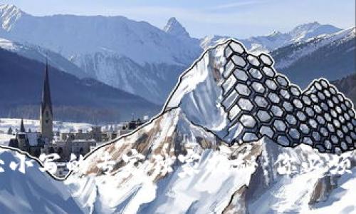 区块链钱包地址大小写的专家独家揭秘：你必须知道的细节与秘诀