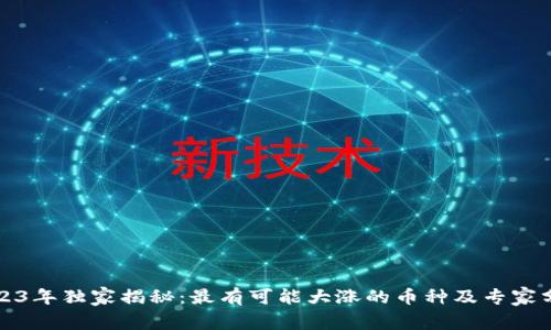 2023年独家揭秘：最有可能大涨的币种及专家分析