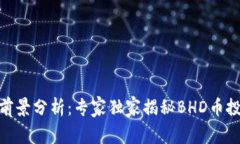 BHD币前景分析：专家独家揭秘BHD币投资秘诀