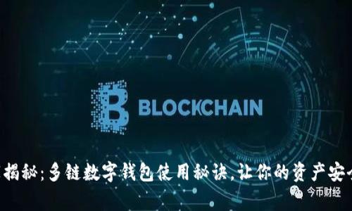 专家独家揭秘：多链数字钱包使用秘诀，让你的资产安全又便捷！