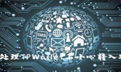 专家揭秘：如何处理TPWallet不小心转入观察钱包的