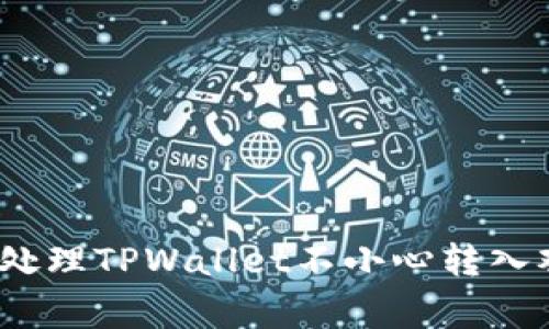 专家揭秘：如何处理TPWallet不小心转入观察钱包的秘诀