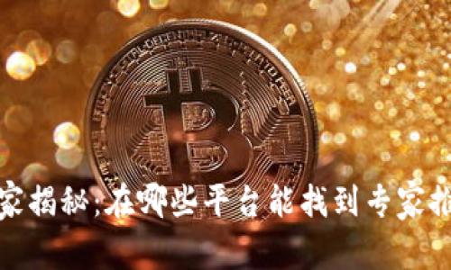 波币钱包的独家揭秘：在哪些平台能找到专家推荐的最佳选择