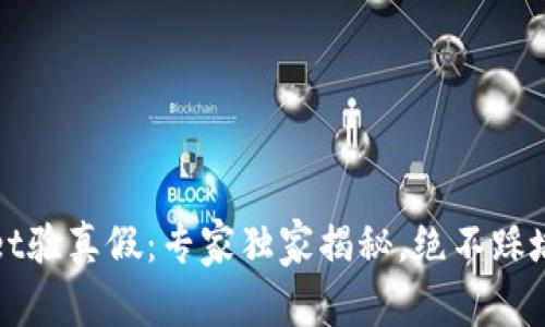 TPWallet验真假：专家独家揭秘，绝不踩坑的秘诀