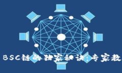 tpwallet切换至BSC链的独家秘诀：专家教你如何轻松