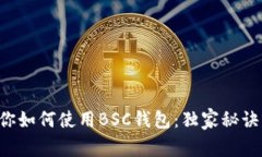 专家教你如何使用BSC钱包：独家秘诀大揭秘！