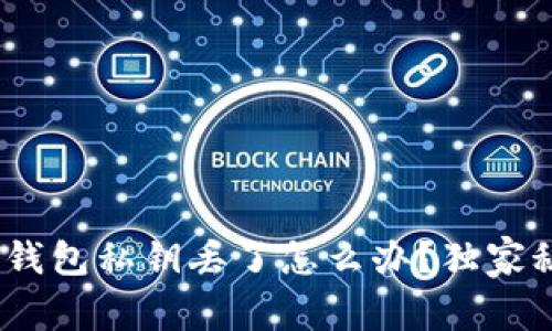 专家教你：钱包私钥丢了怎么办？独家秘诀大揭秘