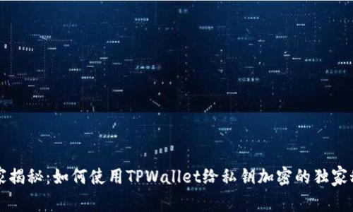 专家揭秘：如何使用TPWallet给私钥加密的独家秘诀