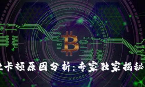 TPWallet卡顿原因分析：专家独家揭秘性能秘诀