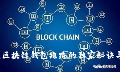 专家揭秘：区块链钱包跑路的独家秘诀与防范技巧