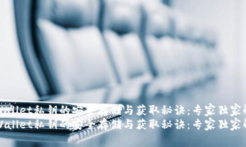 TPWallet私钥的安全存储与获取秘诀：专家独家解析
TPWallet私钥的安全存储与获取秘诀：专家独家解析