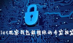 TPWallet观察钱包能转账的专家独家揭秘！