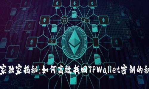 专家独家揭秘：如何高效找回TPWallet密钥的秘诀