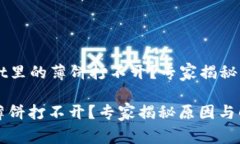 ### TPWallet里的薄饼打不开？专家揭秘原因与解决