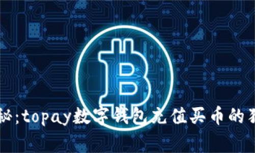 专家揭秘：topay数字钱包充值买币的独家秘诀