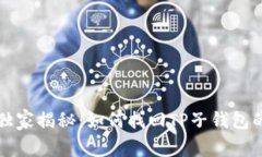 专家独家揭秘：如何找回TP子钱包的秘诀