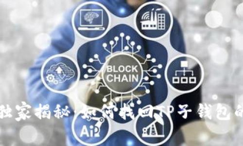 专家独家揭秘：如何找回TP子钱包的秘诀