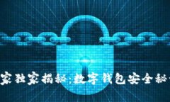 区块链专家独家揭秘：数字钱包安全秘诀大公开