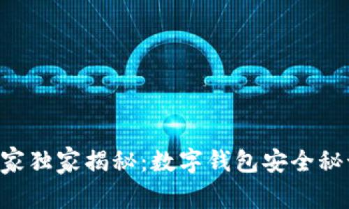 区块链专家独家揭秘：数字钱包安全秘诀大公开！