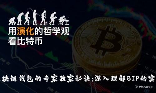 揭秘区块链钱包的专家独家秘诀：深入理解BIP的实用技巧