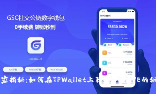 专家揭秘：如何在TPWallet上独家下载AVE的秘诀