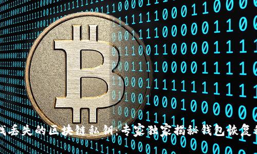 寻找丢失的区块链私钥：专家独家揭秘钱包恢复秘诀