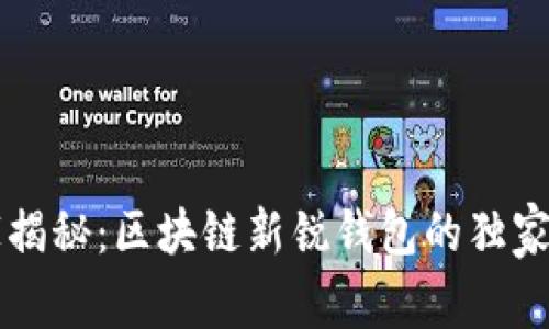 专家揭秘：区块链新锐钱包的独家秘诀