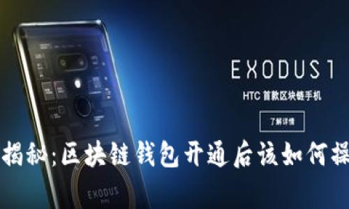 专家独家揭秘：区块链钱包开通后该如何操作的秘诀