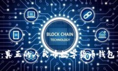 专家揭秘：真正的人民币数字货币钱包独家秘诀